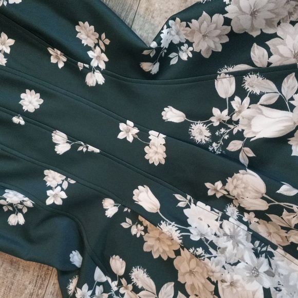 New BEAUTIFUL EMERALD DANNY AND NICOLE SIZE 10 DRESS - Picture 4 of 9